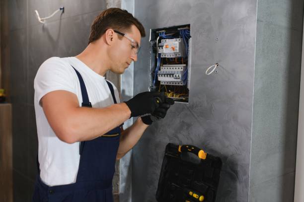 Best Electrical Repair Services  in Temperance, MI