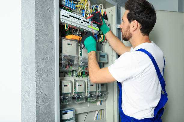 Best Electrical System Inspection  in Temperance, MI