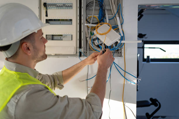 Best Affordable Electrician  in Temperance, MI