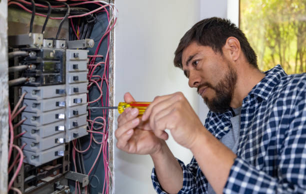 Best Electrical Upgrades for Homes  in Temperance, MI